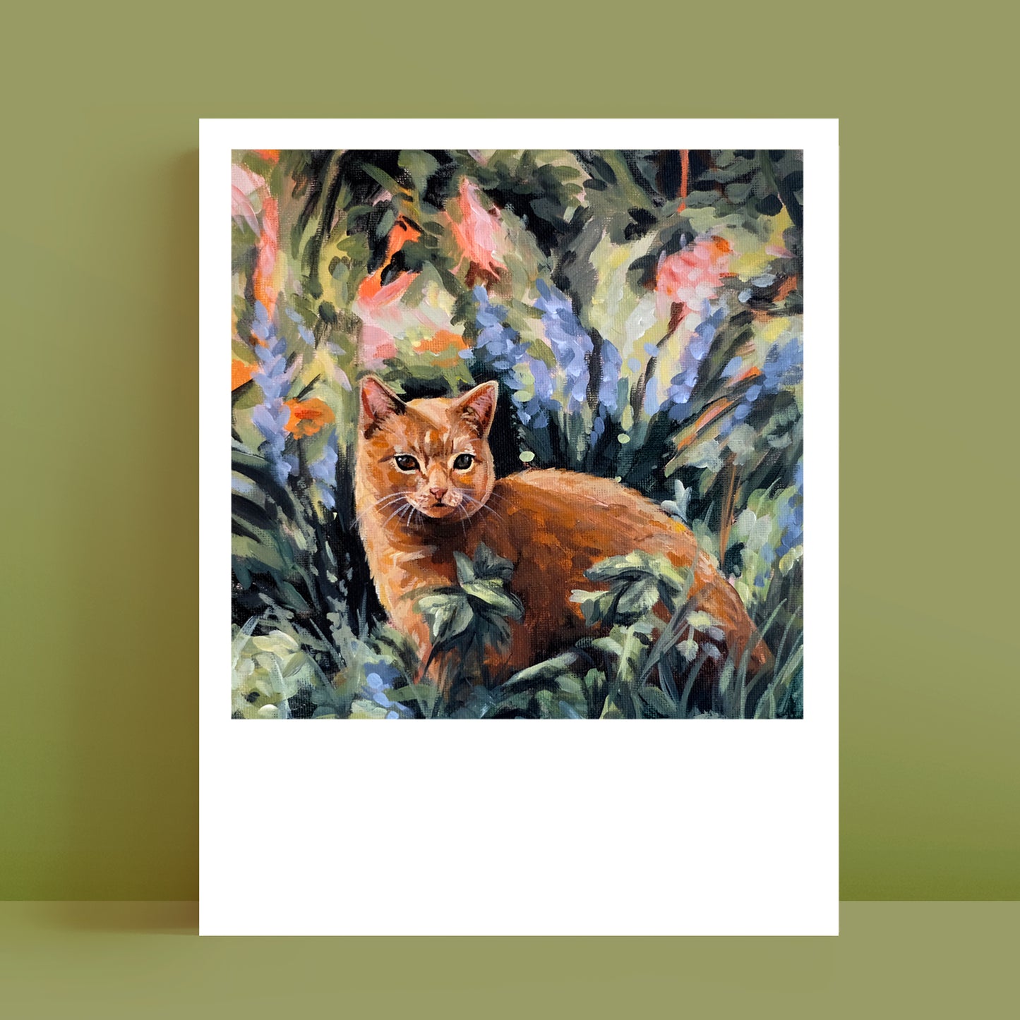 Cat - Polaroid