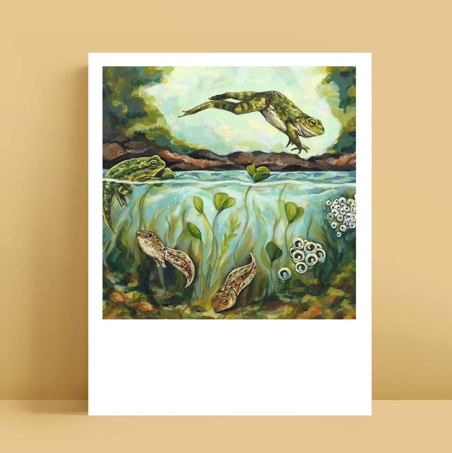 Frog Life Cycle - Polaroid