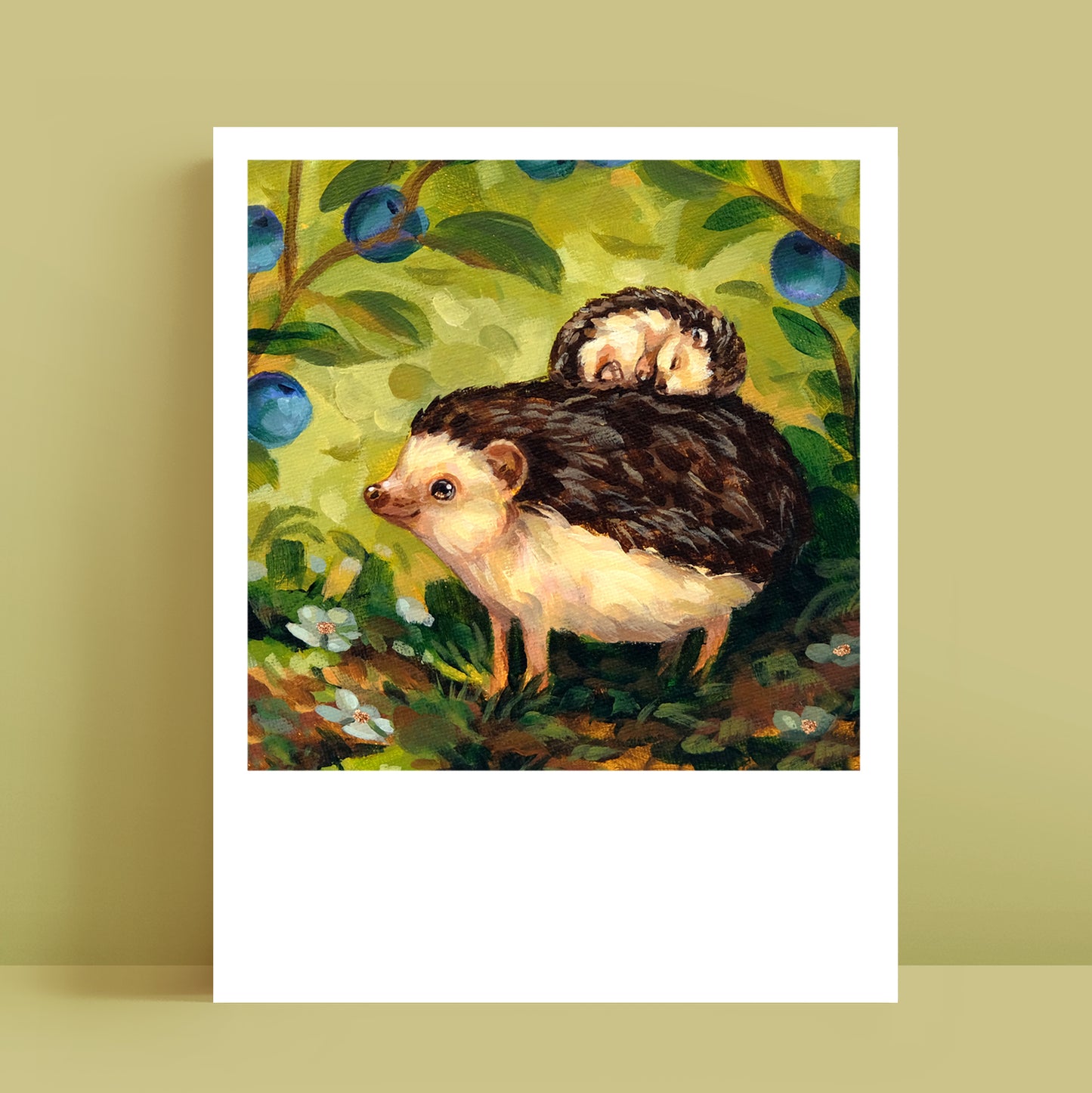 Hedgehogs - Polaroid