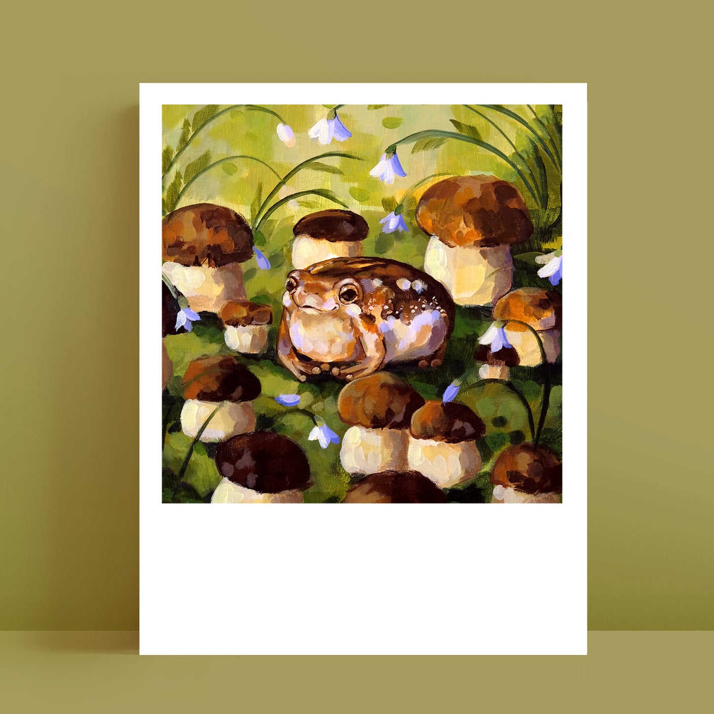 Rain Frog - Polaroid