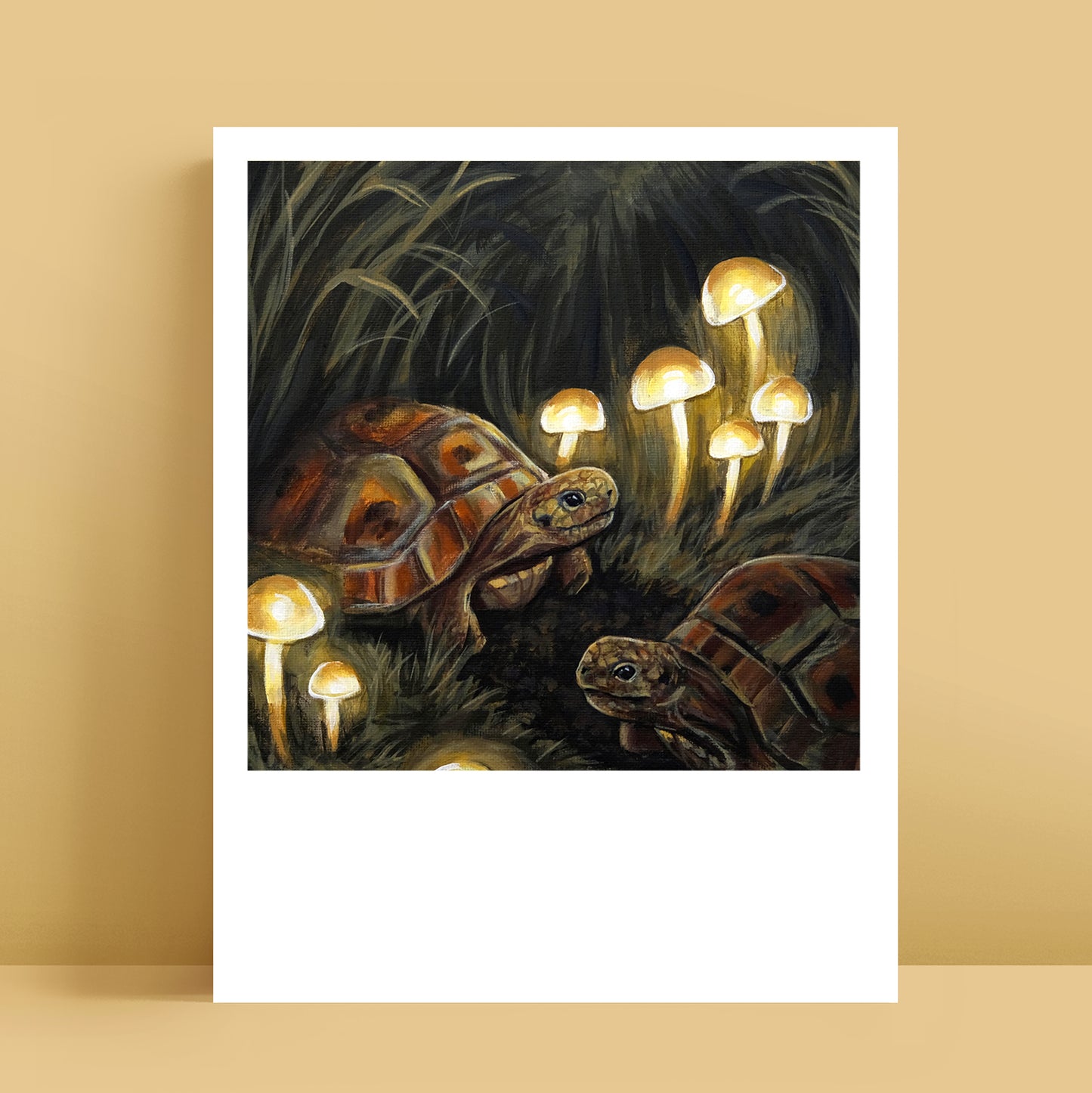Turtles - Polaroid