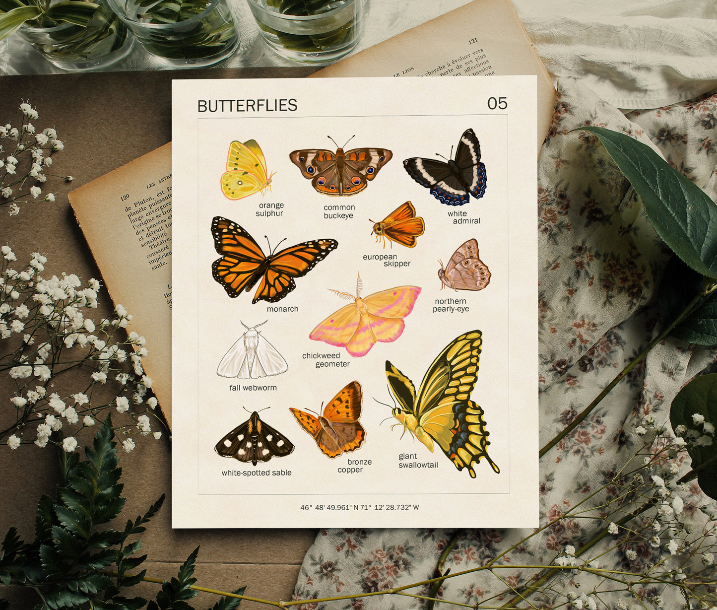 Butterflies - Art Print