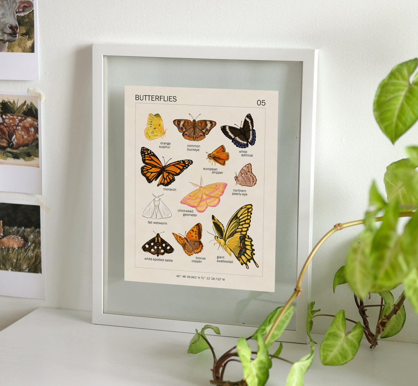 Butterflies - Art Print