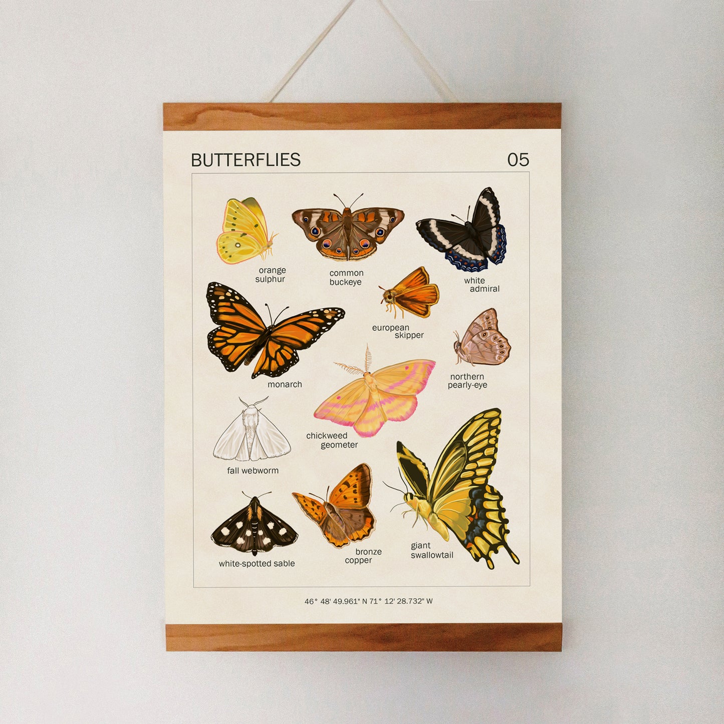 Butterflies - Art Print