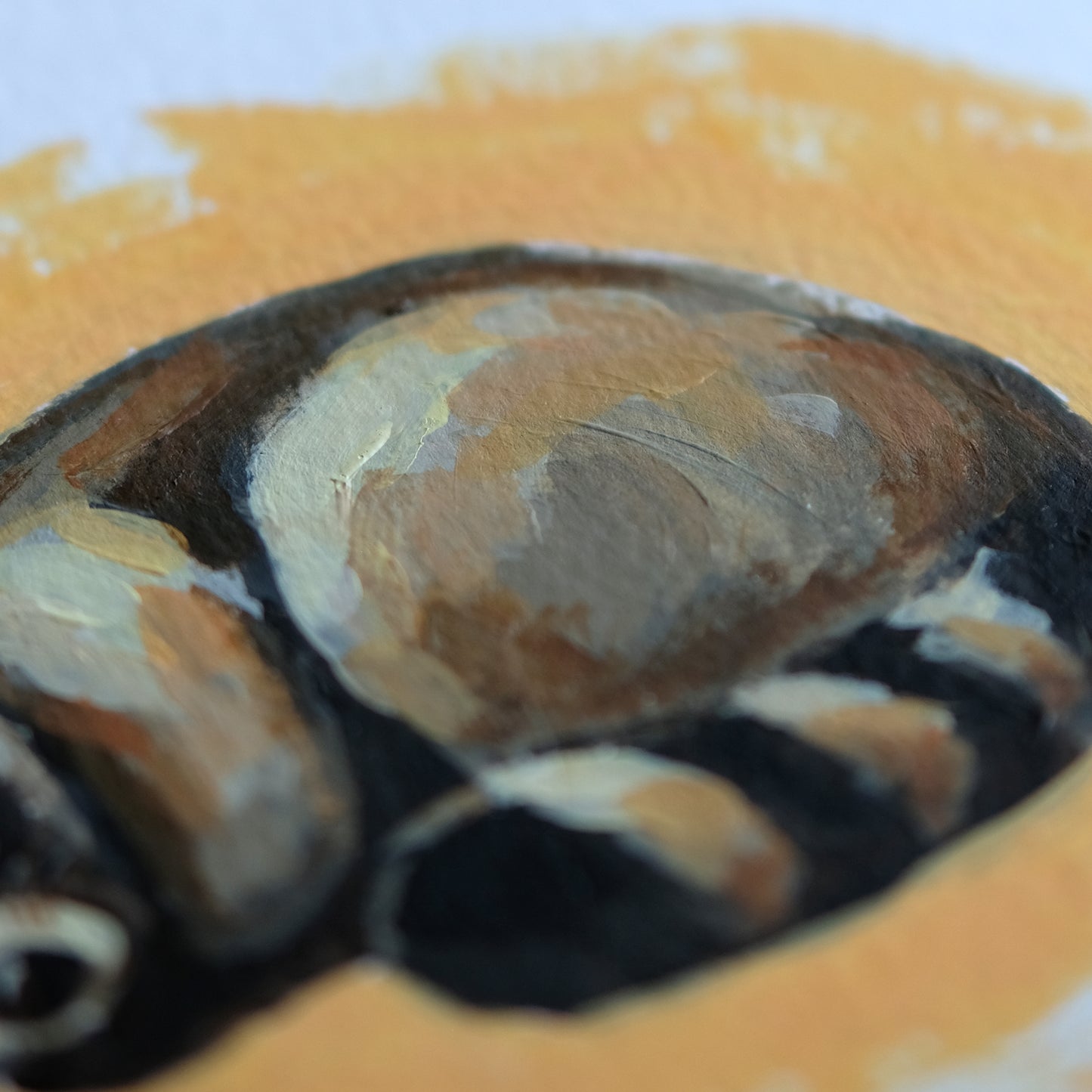 Sleeping Raccoon - Original