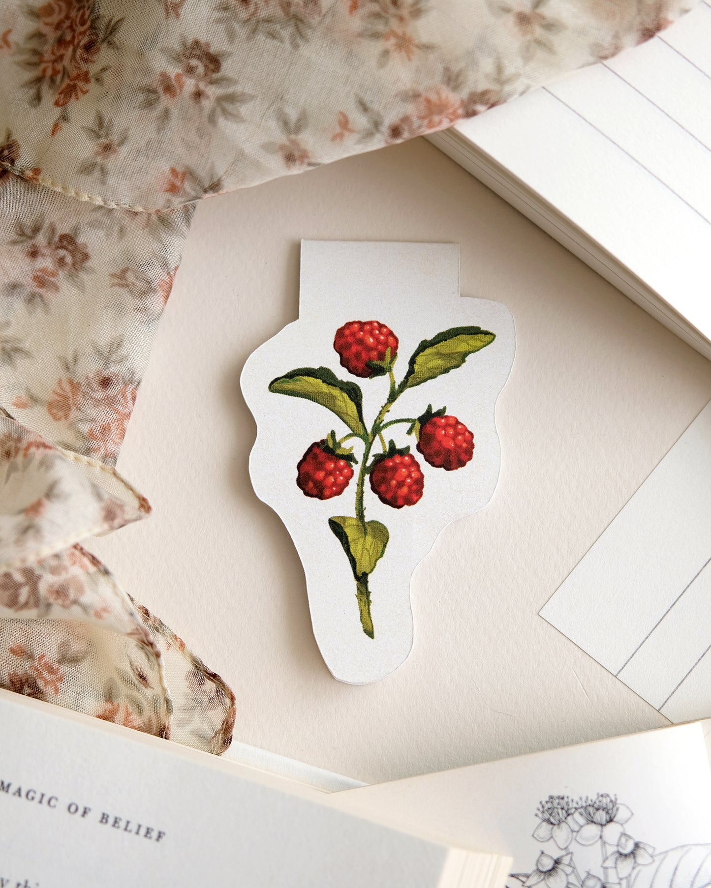 Framboises - Marque-page