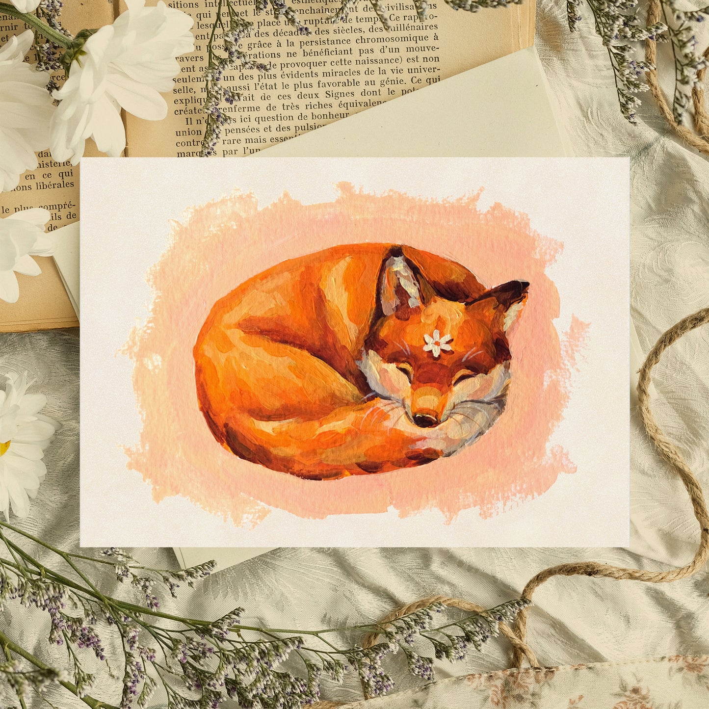 Sleeping Fox - Art Print