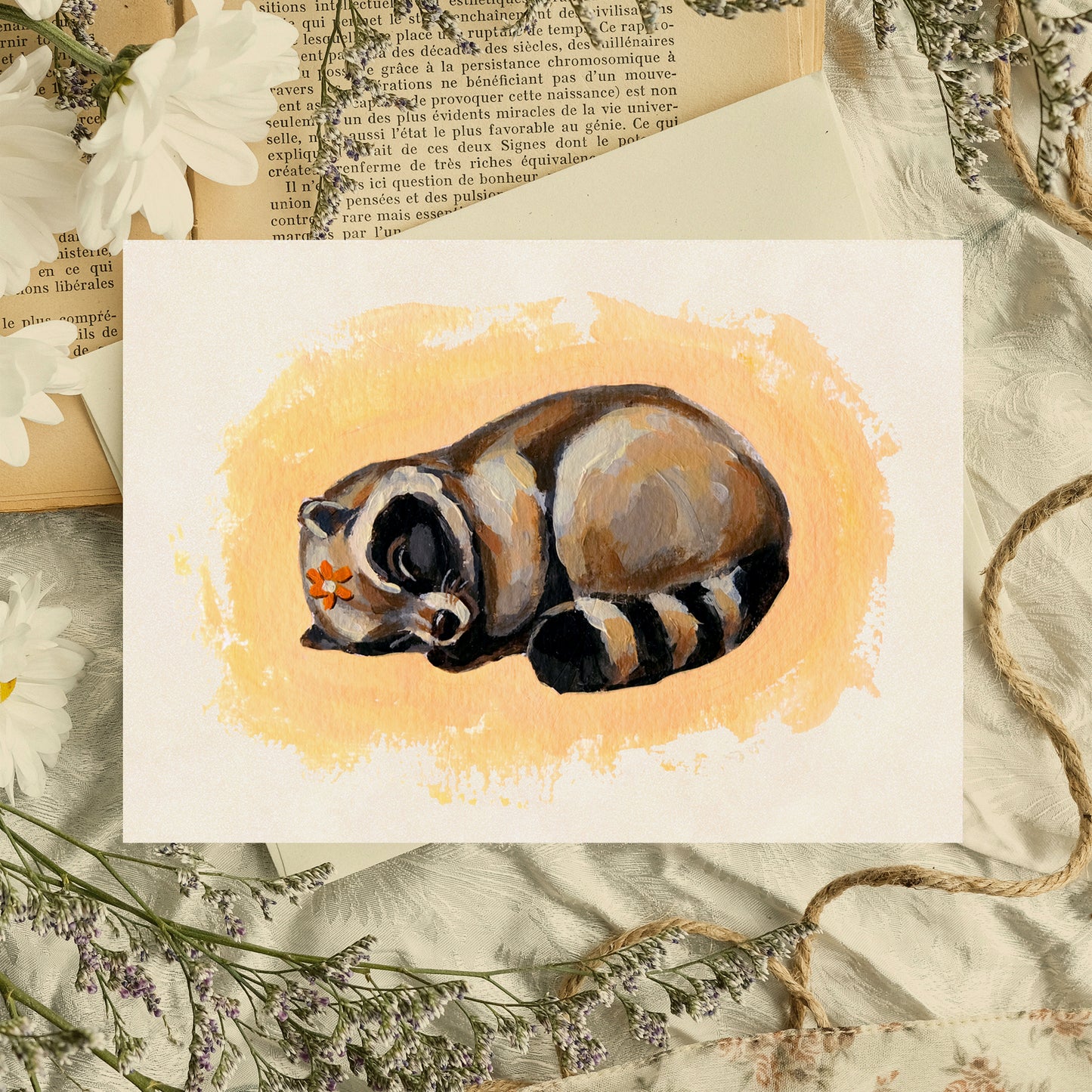 Sleeping Raccoon - Art Print