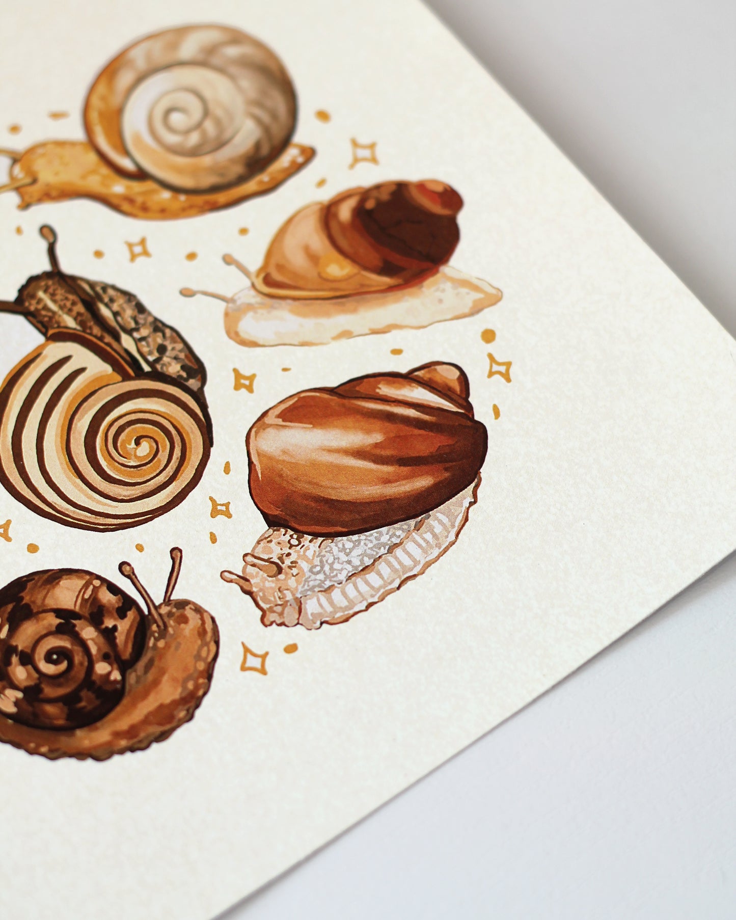 Snails - Art Print