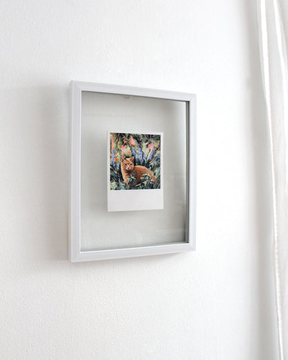 Chat - Polaroïd