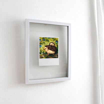 Hedgehogs - Polaroid