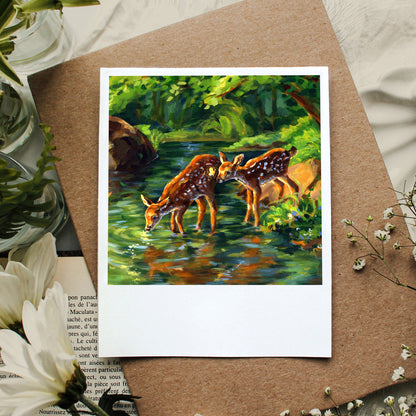 Dans le calme du moment présent - Polaroid