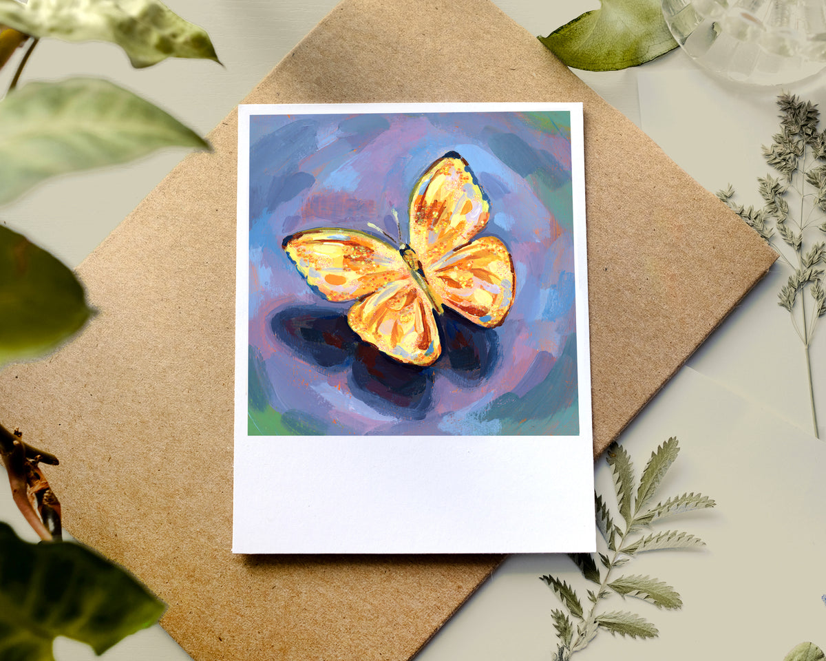 Papillon - Polaroid