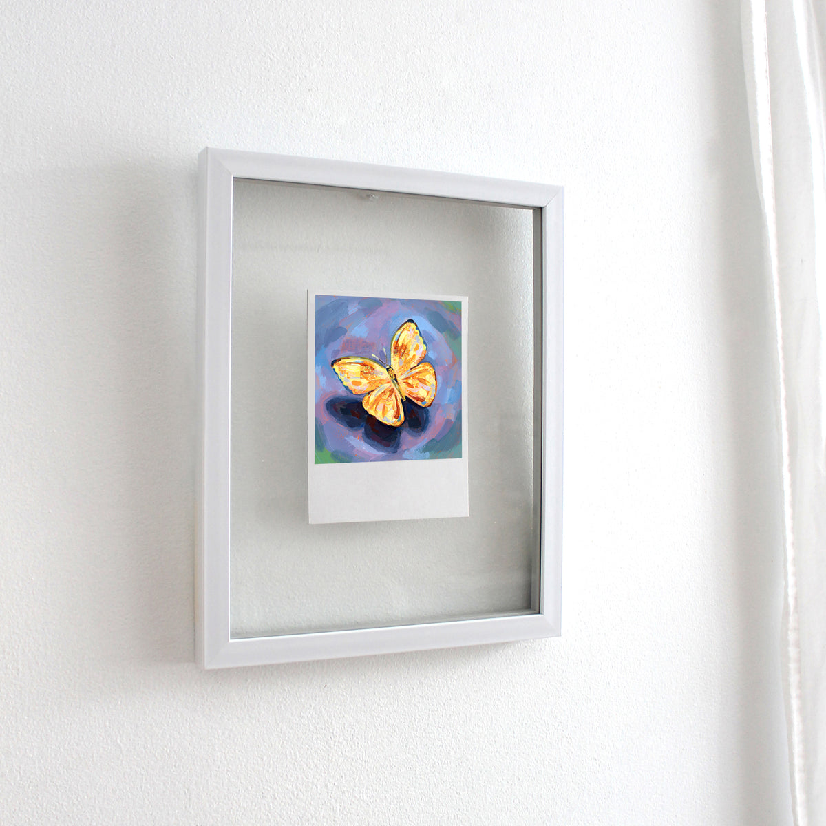 Papillon - Polaroid