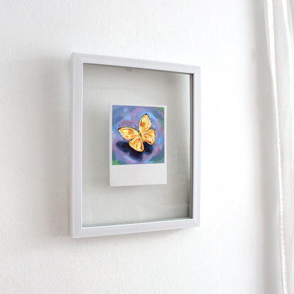Papillon - Polaroid