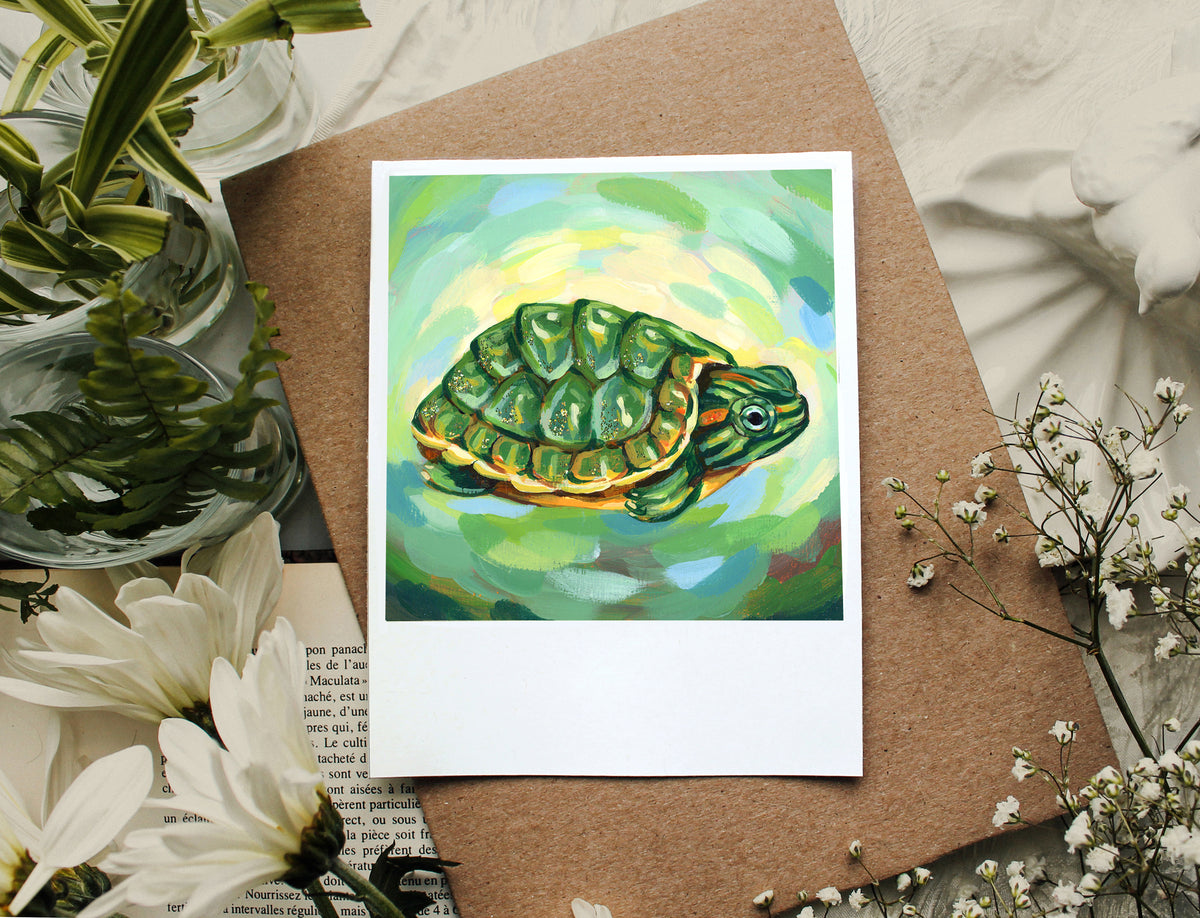 Turtle - Polaroid