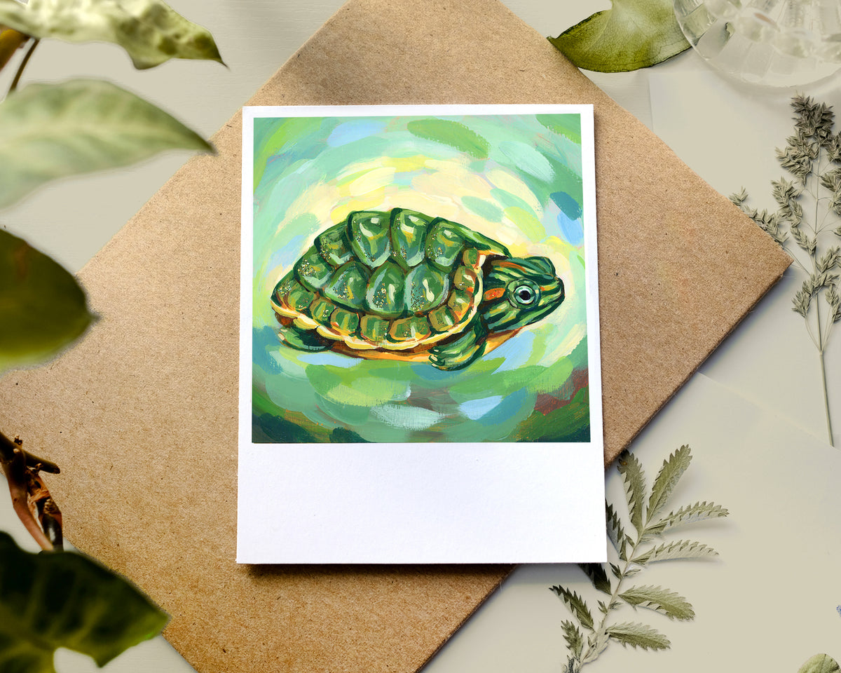 Turtle - Polaroid