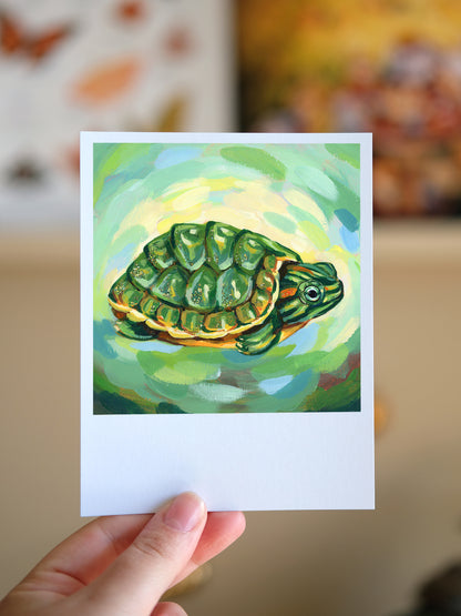 Turtle - Polaroid