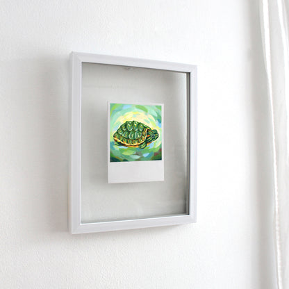 Turtle - Polaroid