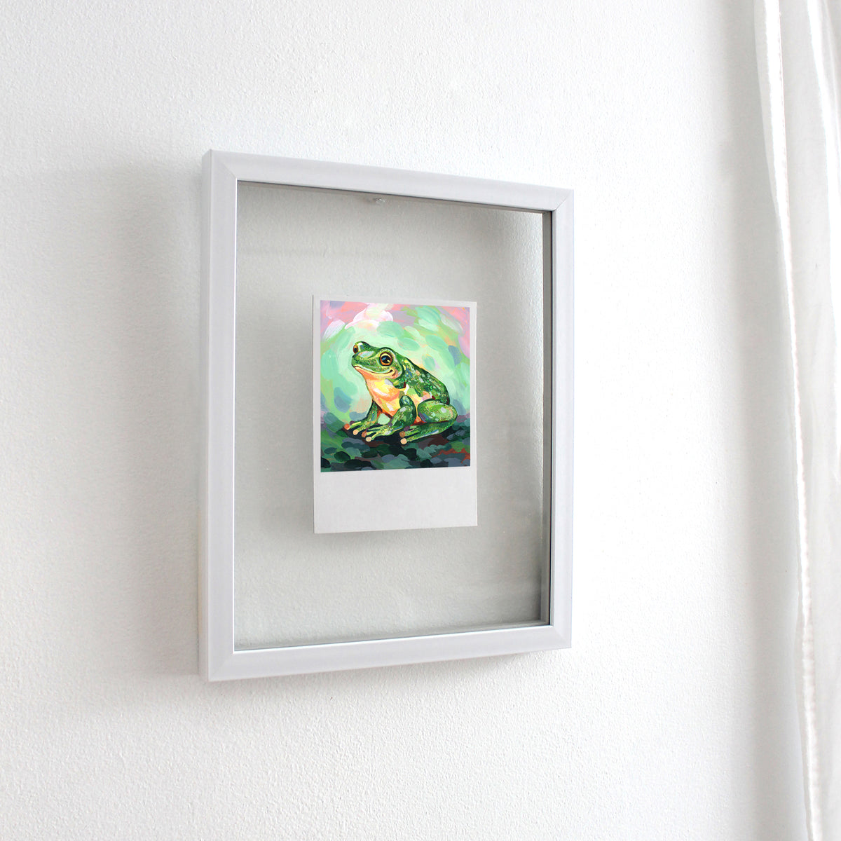 Frog - Polaroid