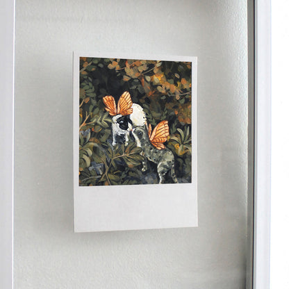 Chats Fées - Polaroïd