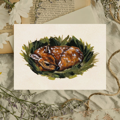 Fawn - Art Print