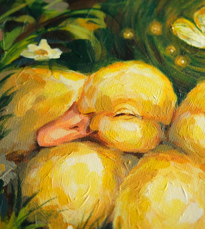 Ducklings - Original