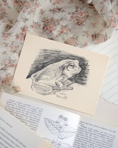 Rainette du Japon - Impression