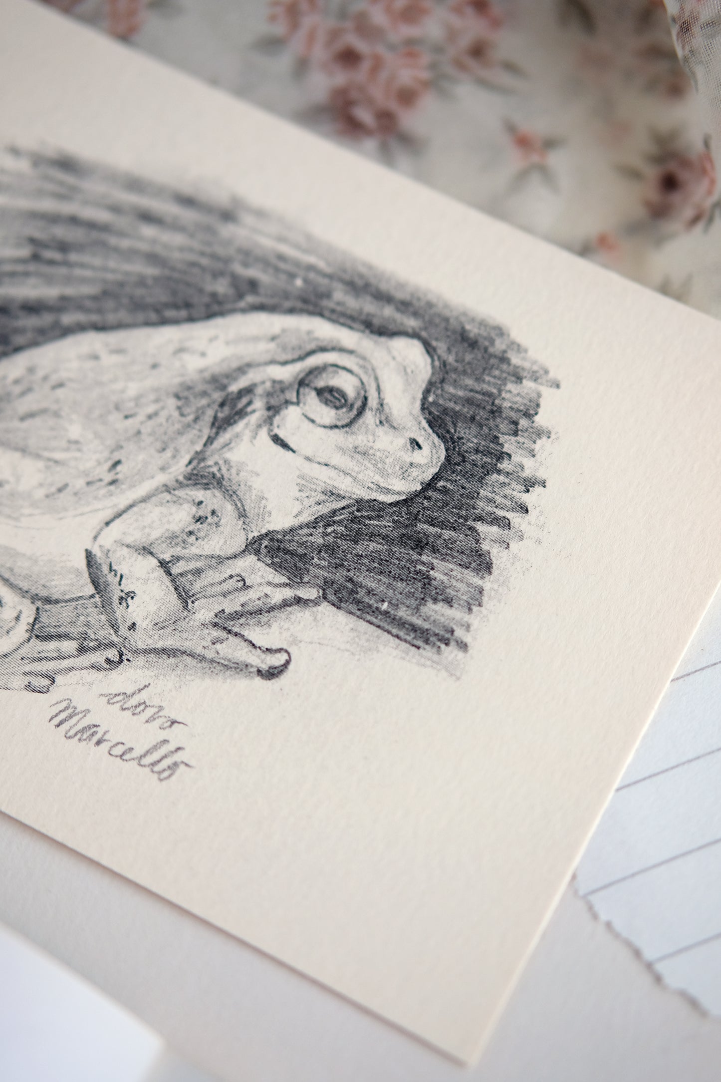 Rainette du Japon - Impression