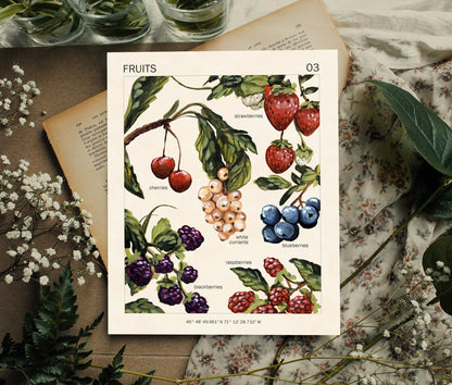Fruits - Impression d'art