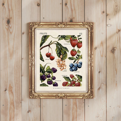 Fruits - Impression d'art