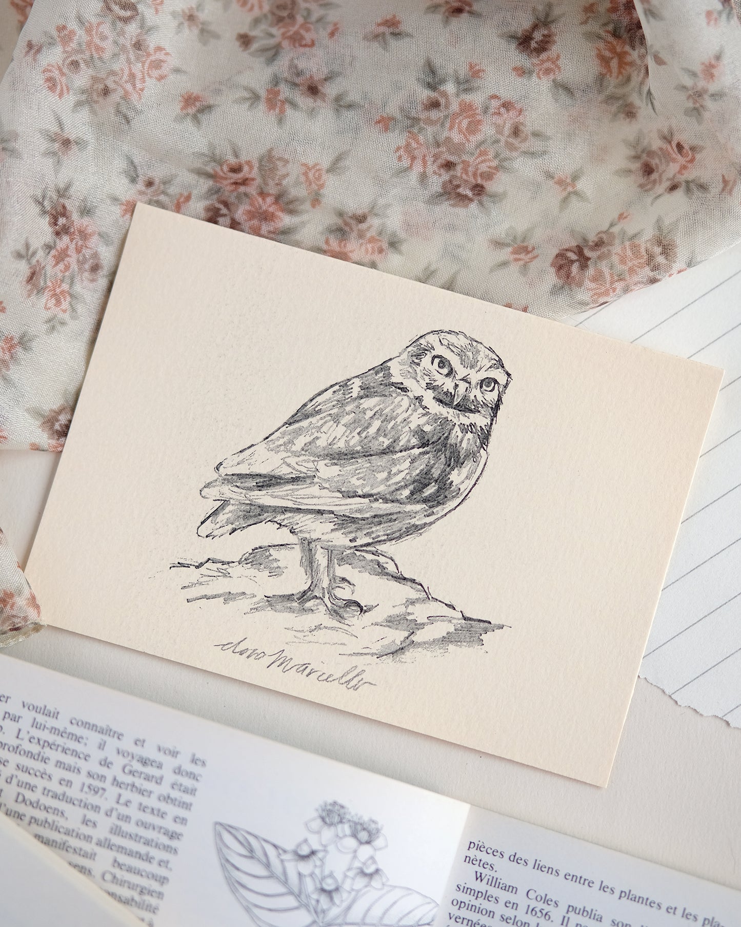 Petite chouette - Impression