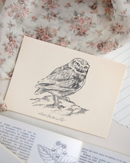 Petite chouette - Impression