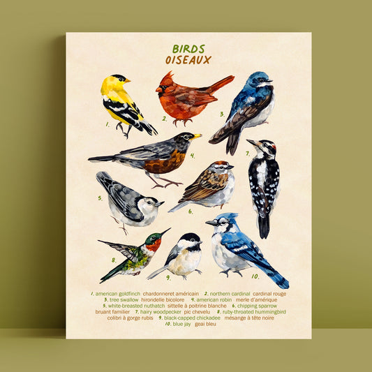 Oiseaux - Impression d'art
