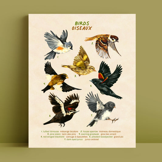 Oiseaux au vol - Impression d'art