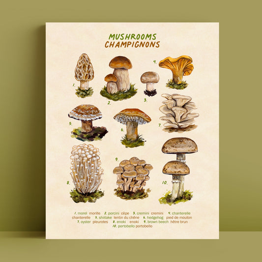 Champignons - Impression d'art