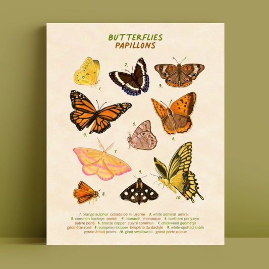 Papillons - Impression d'art