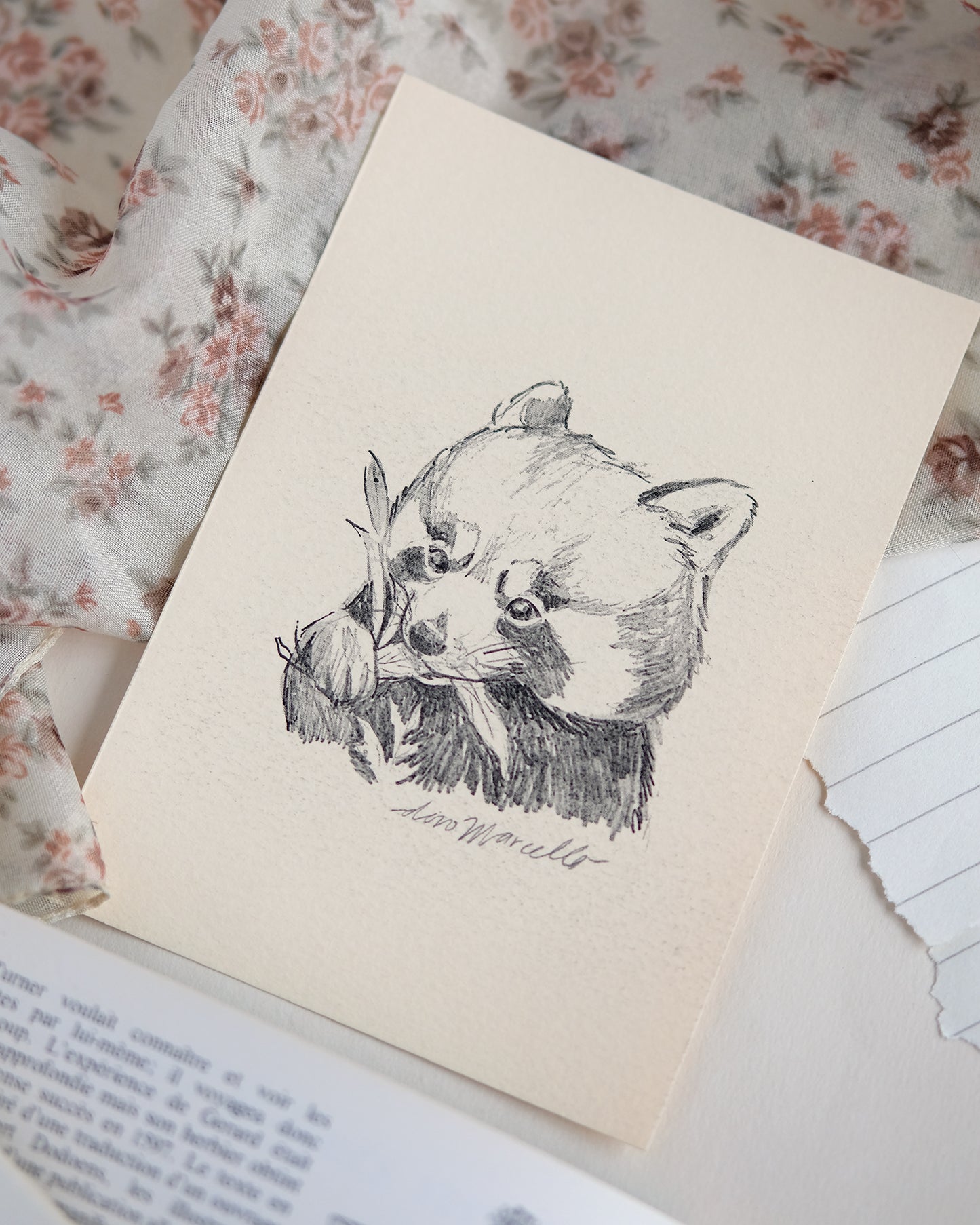 Panda roux - Impression