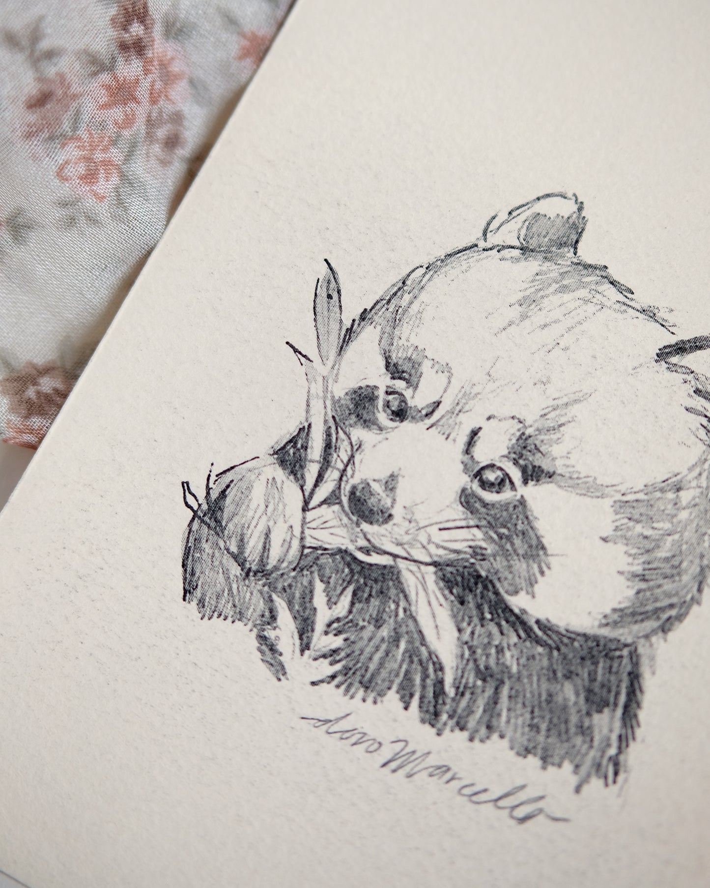 Panda roux - Impression