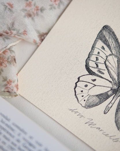 Papillon - Impression