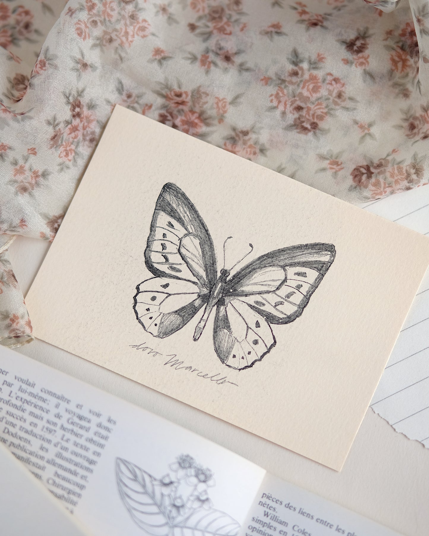 Papillon - Impression