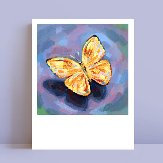 Papillon - Polaroid