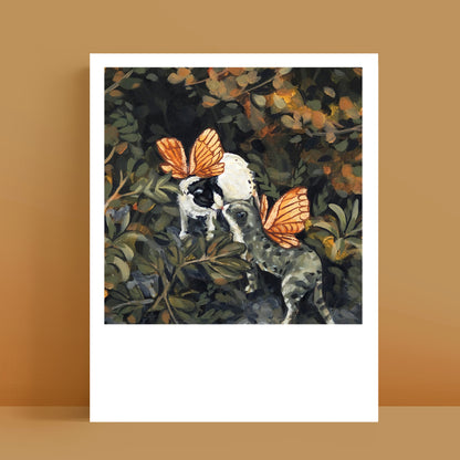 Chats Fées - Polaroïd