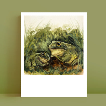 Frogs - Polaroid