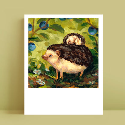 Hedgehogs - Polaroid