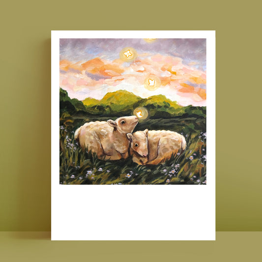 Mouton - Polaroïd