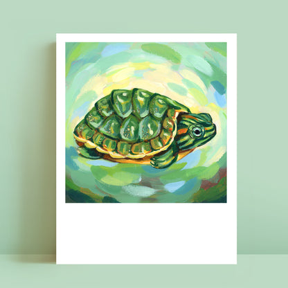 Turtle - Polaroid