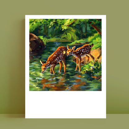 Dans le calme du moment présent - Polaroid