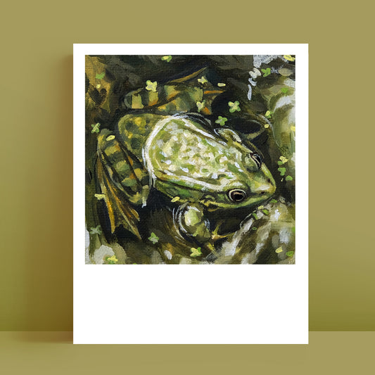Grenouille verte - Polaroïd
