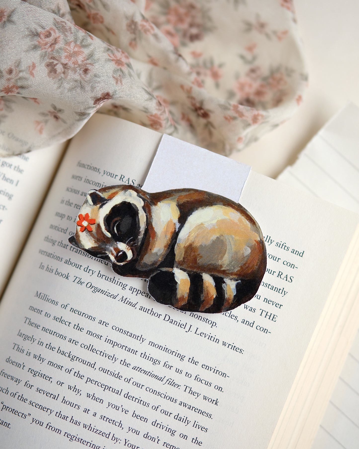 Raton laveur endormi - Marque-page